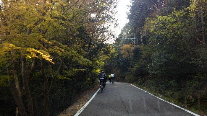 木漏れ日の中自転車の風切り音が聞こえそうな