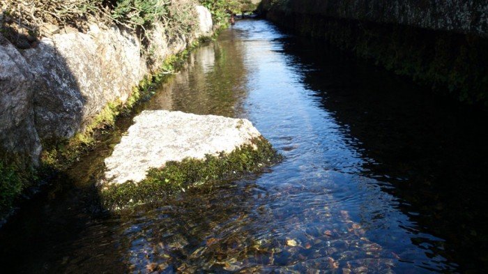 街の水路。すごいきれいよね。