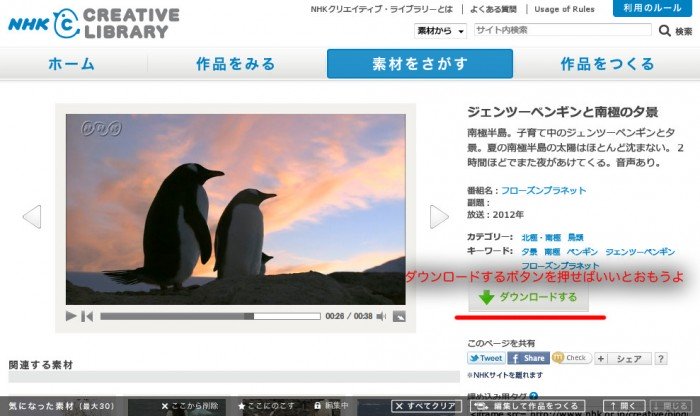 ペンギンきたこれ